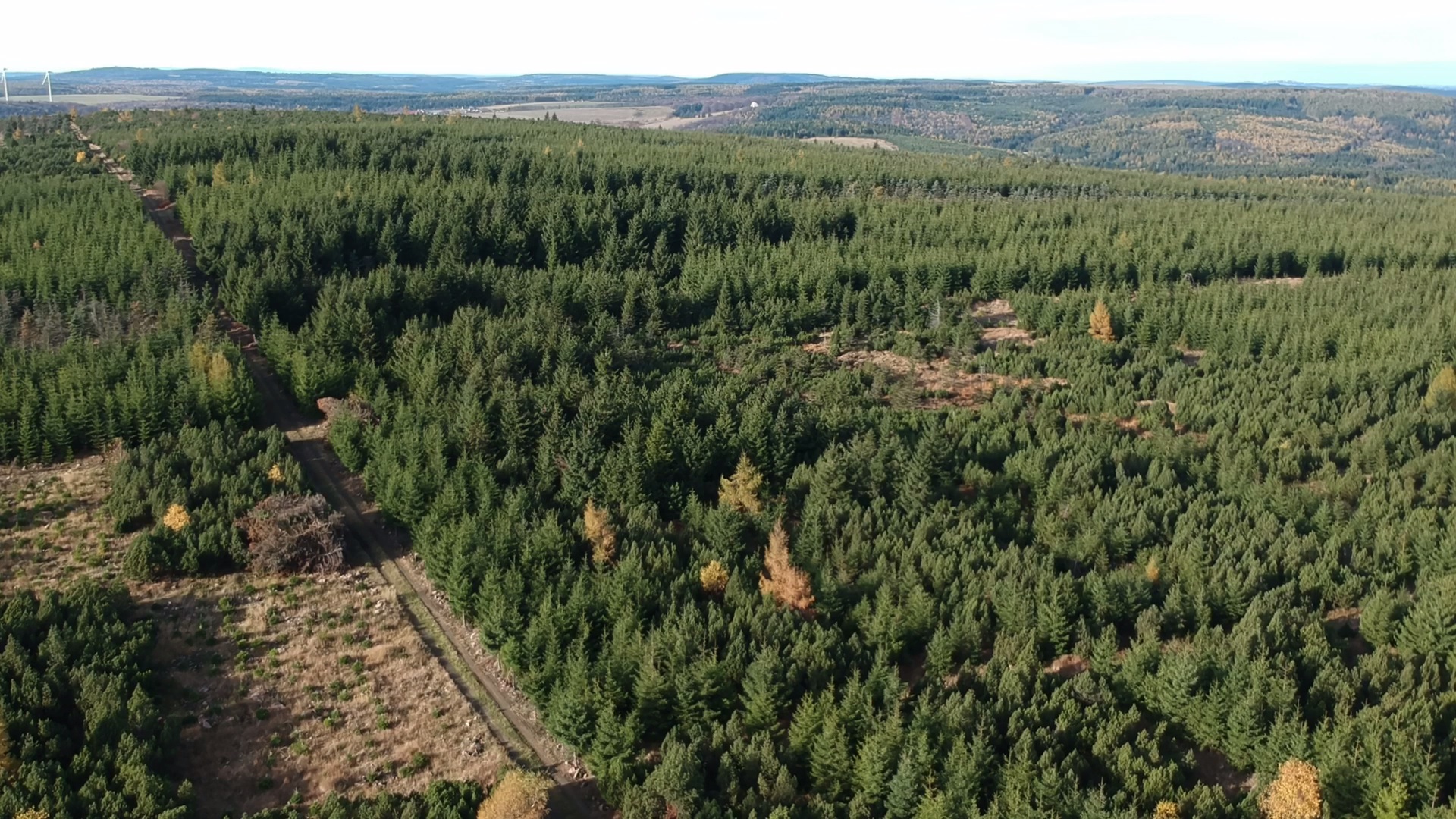 Rašeliniště na severních svazích, 27.10.2019, autor Kryštof Volf