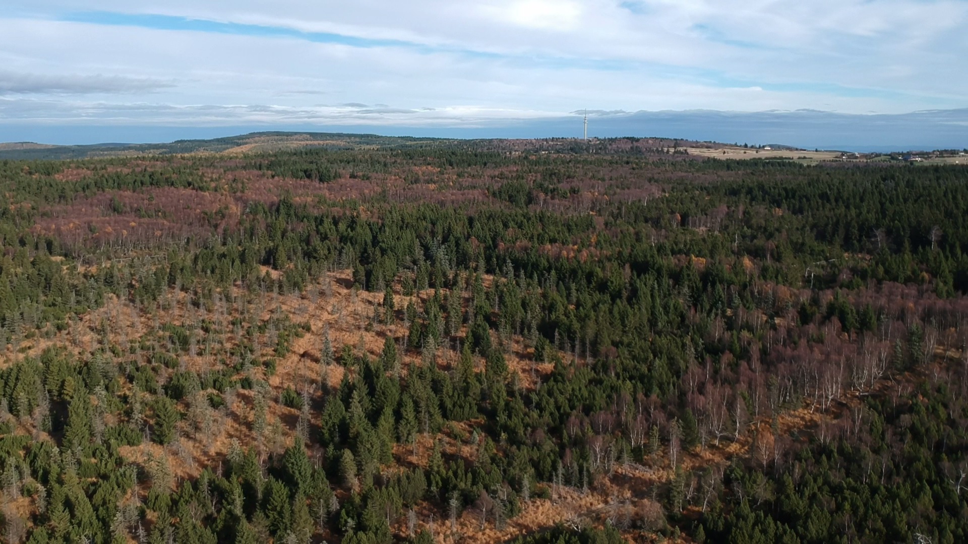 Březové porosty rašeliniště U jezera, v pozadí Kahleberg, Lugstein a Cínovec, 27.10.2019, autor Kryštof Volf